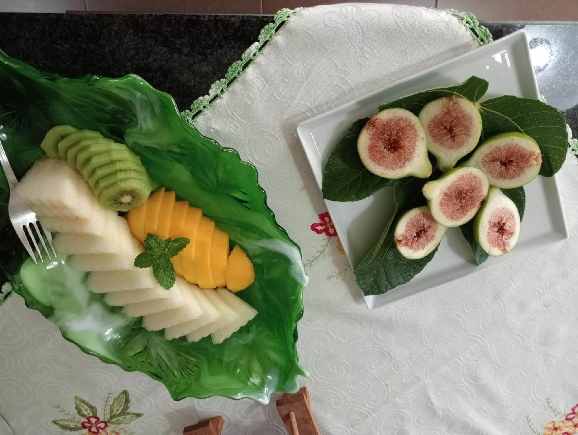 אבאירו Terreno Das Mimosas מראה חיצוני תמונה
